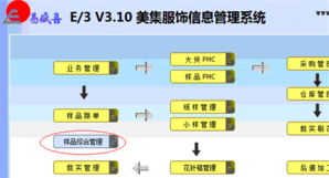 ERP開發與管理改善同步 以ESXERP系統為例探索B2C系統開發
