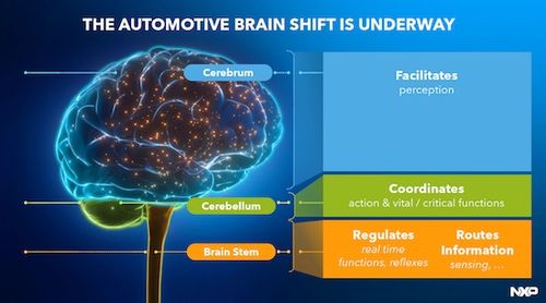 激活運(yùn)動(dòng)本能 恩智浦叩響機(jī)器人世界之門與ERP系統(tǒng)開發(fā)
